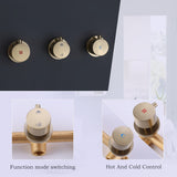 Luxury 3-Handle Complete Rainfall Shower System with Rough-in Valve in Black/Gold