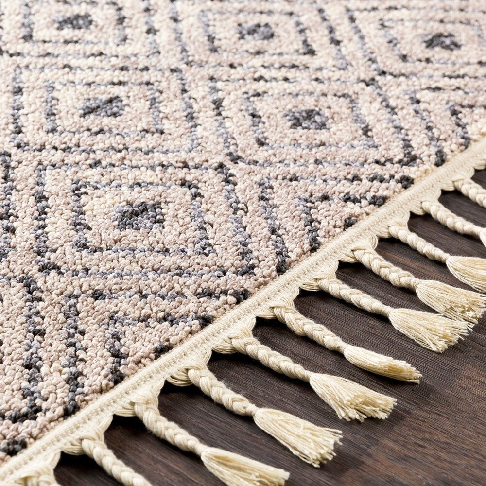 Lyla Gray Moroccan Tile Tassel Area Rug - 3'11" x 5'7" - 3'11" x 5'7"