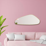 Asymmetrical Irregular Aesthetic Wall Mirror - 50 x 20 Inches