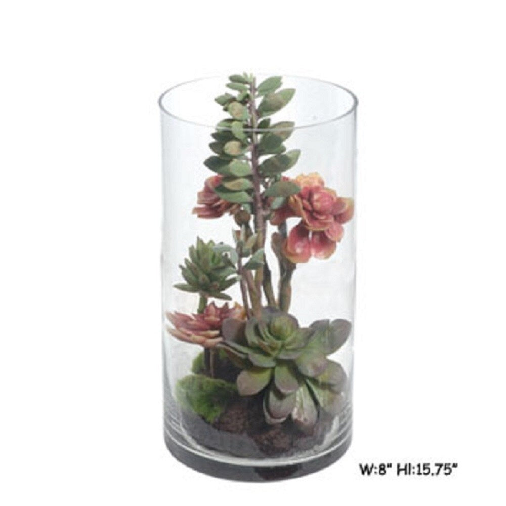 Gold Eagle Succulent Mix with Soil in Clear Glass Terrarium