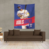 MLB Texas Rangers Player Wall Hanging