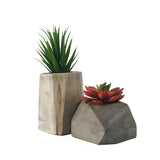MODA wood pot with plastic plant - L:3.74*3.74*H5.91 S:5.12*4.33*H4.72 - L:3.74*3.74*H5.91 S:5.12*4.33*H4.72