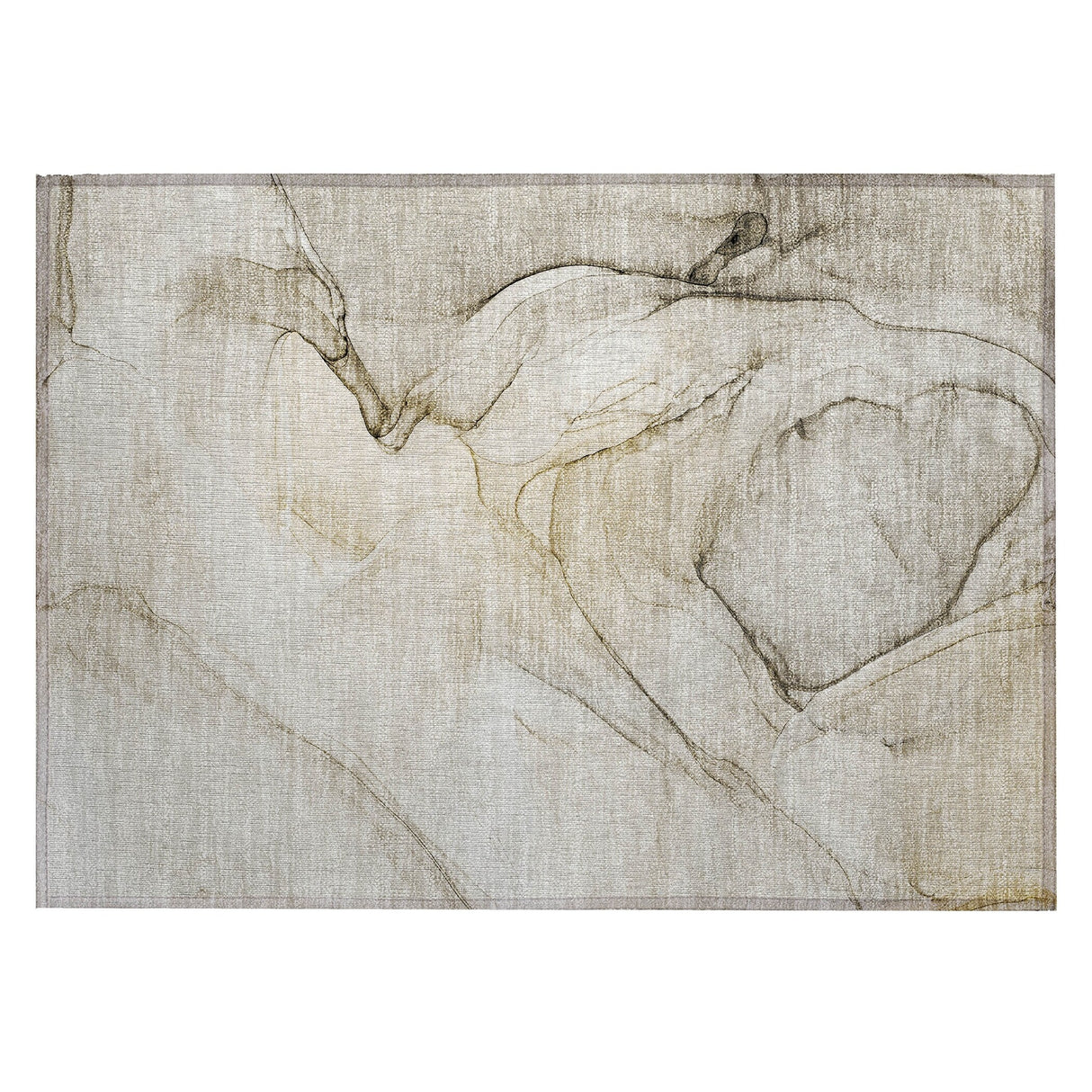 Machine Washable Indoor/ Outdoor Abstract Chantille Rug
