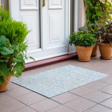 Machine Washable Indoor/ Outdoor Chantille Traditional Elegant Rug