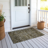 Machine Washable Indoor/ Outdoor Chantille Traditional Vintage Floral Rug