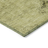 Machine Washable Indoor/ Outdoor Chantille Traditional Vintage Rug