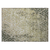 Machine Washable Indoor/ Outdoor Chantille Transitional Rug