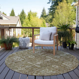 Machine Washable Indoor/ Outdoor Chantille Vintage Traditional Rug
