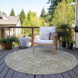 Machine Washable Indoor/ Outdoor Chantille Vintage Traditional Rug