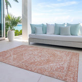 Machine Washable Indoor/ Outdoor Vintage Traditional Chantille Rug