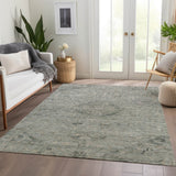 Machine Washable Indoor/ Outdoor Vintage Traditional Chantille Rug