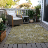 Machine Washable Indoor/ Outdoor Vintage Traditional Chantille Rug