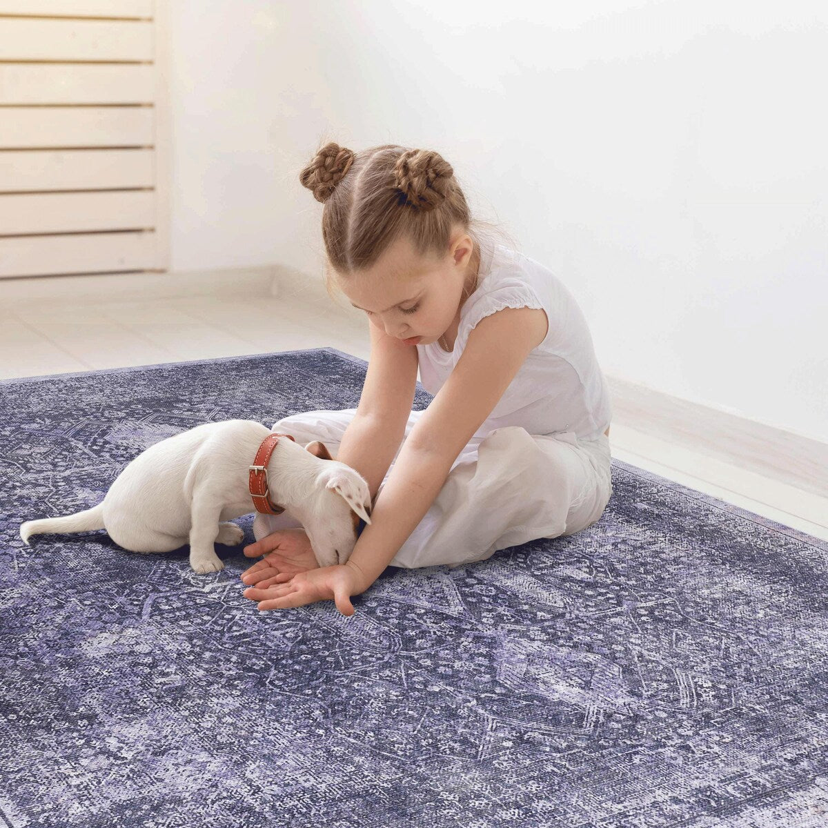 Machine Washable Rug 4x6,Non Slip Rugs for Living Room Bedroom Carpet Stain Resistant,Home Decor - 6' x 7'