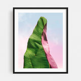 Magic Banana Leaf Photography Clouds Flower Minimal Art Print/Poster