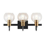 Marais Iron/Glass Rustic Vintage LED Vanity Light, Black/Brass Gold by JONATHAN Y