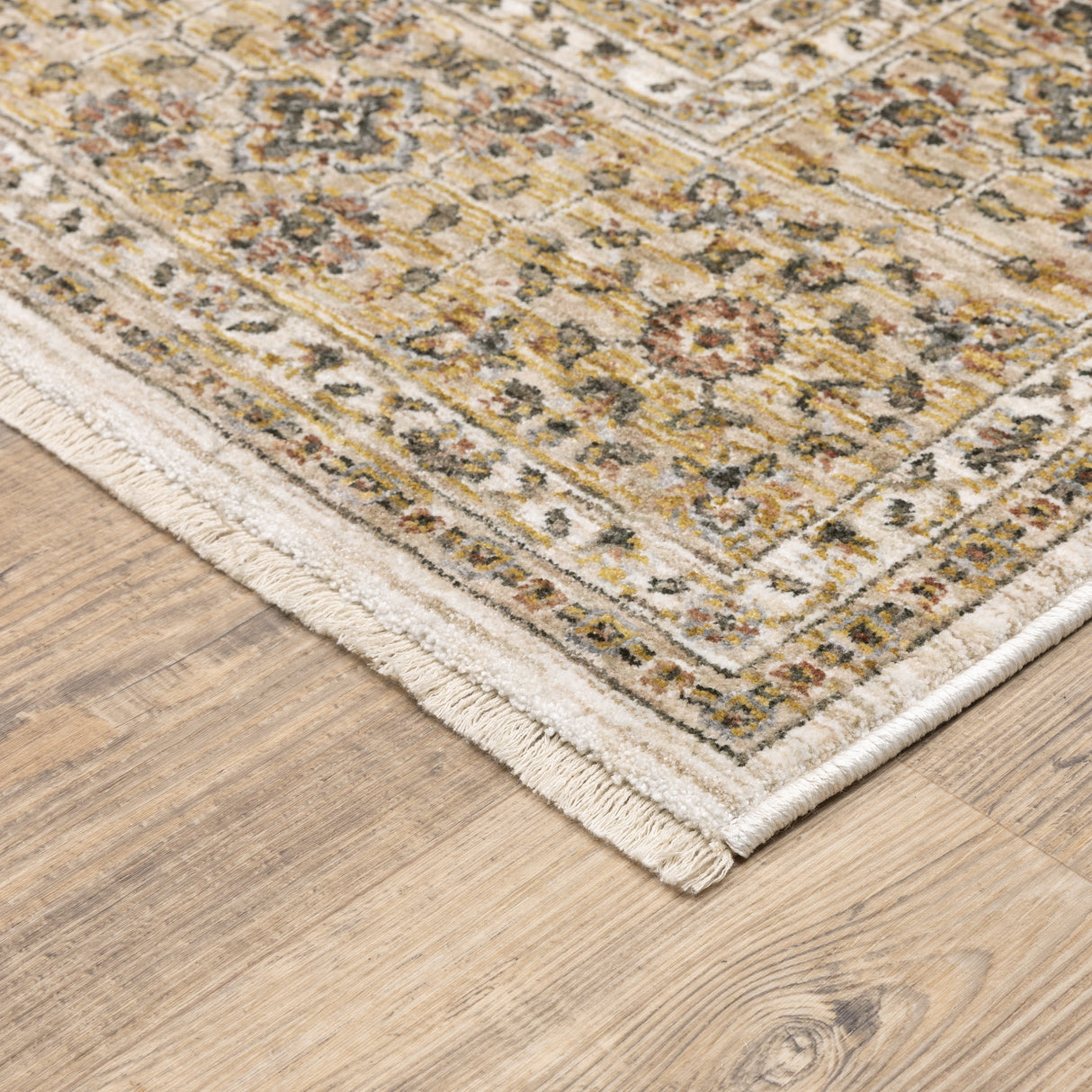 Style Haven Marley Bordered Traditional Fringed Area Rug