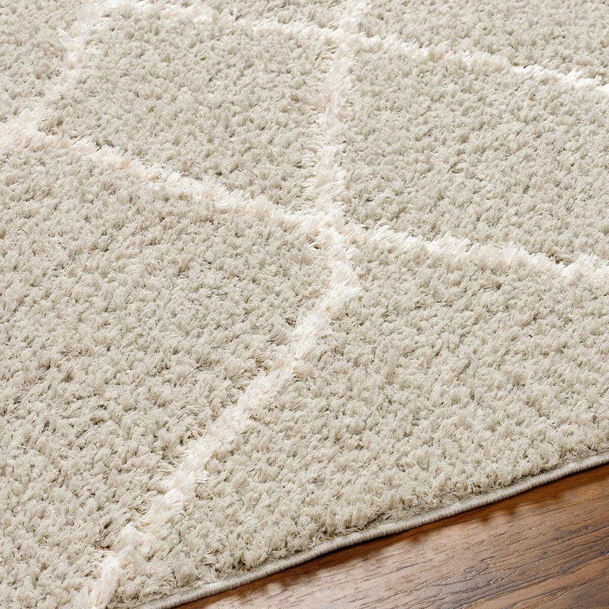 Maryland Shag Diamond Moroccan Area Rug