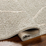 Maryland Shag Diamond Moroccan Area Rug