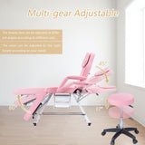 Massage Salon Tattoo Chair with Two Trays Esthetician Bed with Hydraulic Stool,Multi-Purpose 3-Section Facial Bed Table