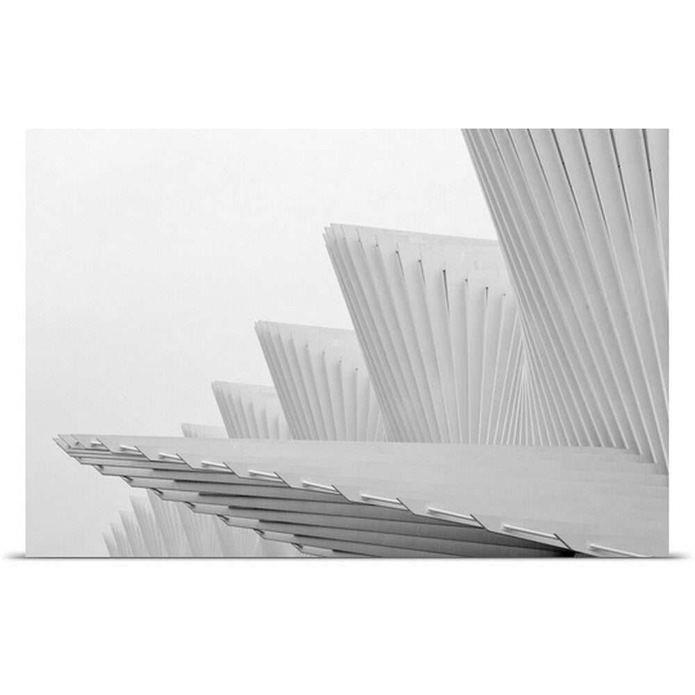"Fly" Poster Print - Multi