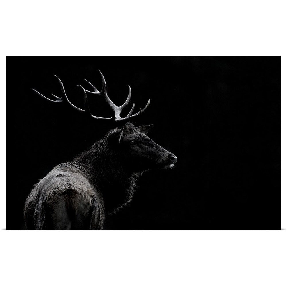 "The Deer Soul" Poster Print