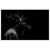 "The Deer Soul" Poster Print