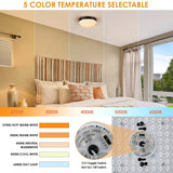 Modern Matte Black Circular Clear Frosted Glass Integrated LED Flush Mount Ceiling Light
