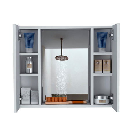 Medicine Cabinet Hops With Double Door And Mirror