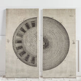 Mercana Cross Cut I Left (MC) SET 2 (26 X 54) Made to Order Canvas Art