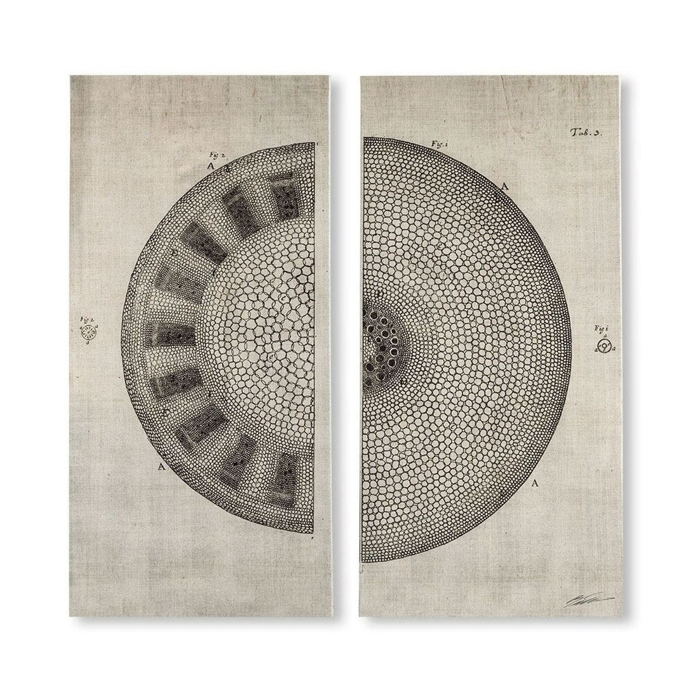 Mercana Cross Cut I Left (MC) SET 2 (26 X 54) Made to Order Canvas Art