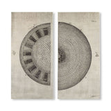 Mercana Cross Cut I Left (MC) SET 2 (26 X 54) Made to Order Canvas Art