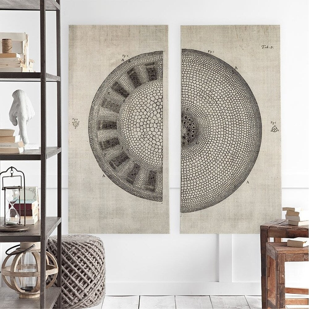 Mercana Cross Cut I Left (MC) SET 2 (26 X 54) Made to Order Canvas Art