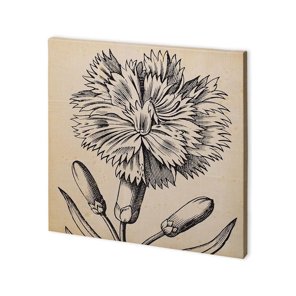 Mercana Graphic Floral IV (30 x 30) Made to Order Canvas Art