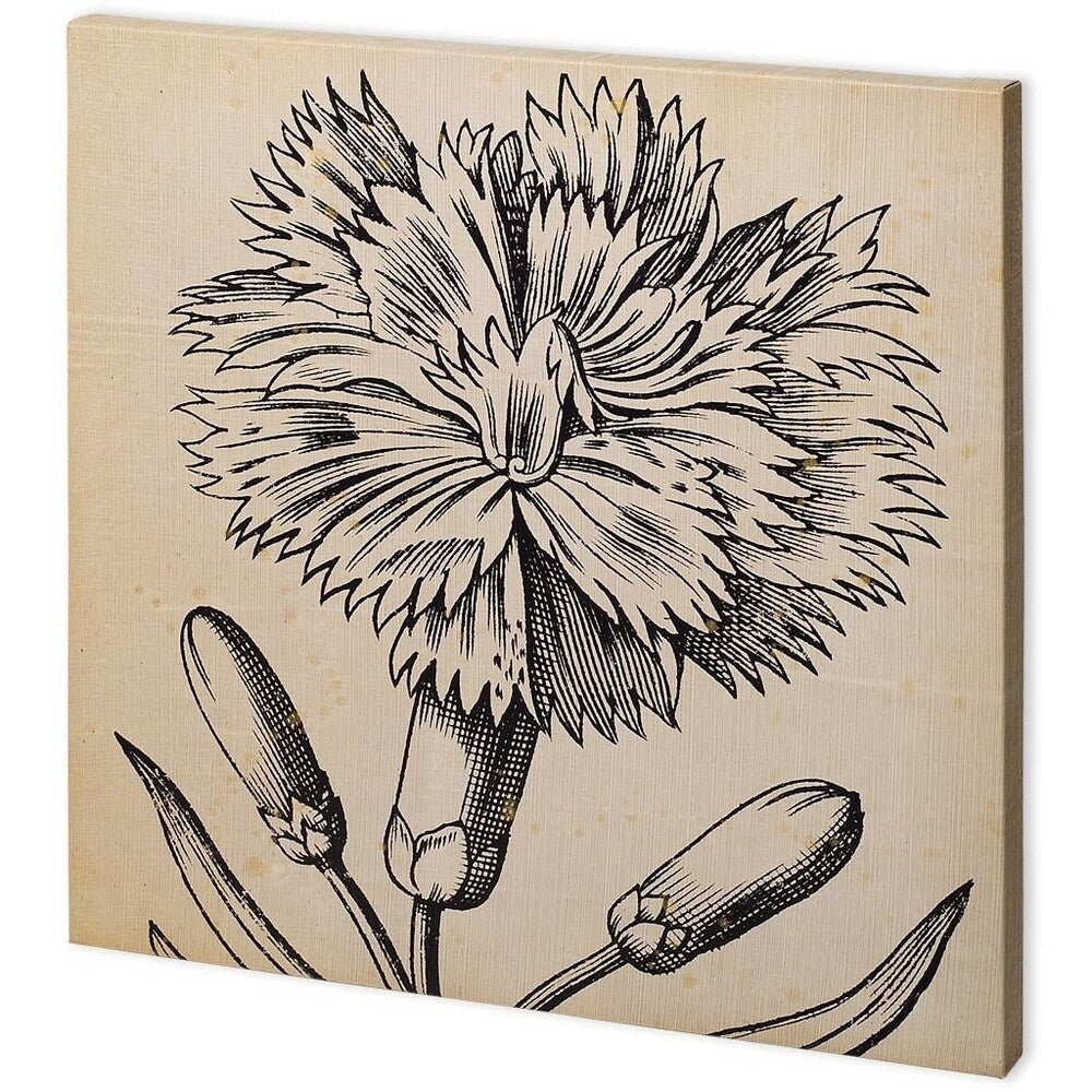 Mercana Graphic Floral IV (44 x 44) Made to Order Canvas Art