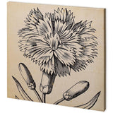 Mercana Graphic Floral IV (44 x 44) Made to Order Canvas Art