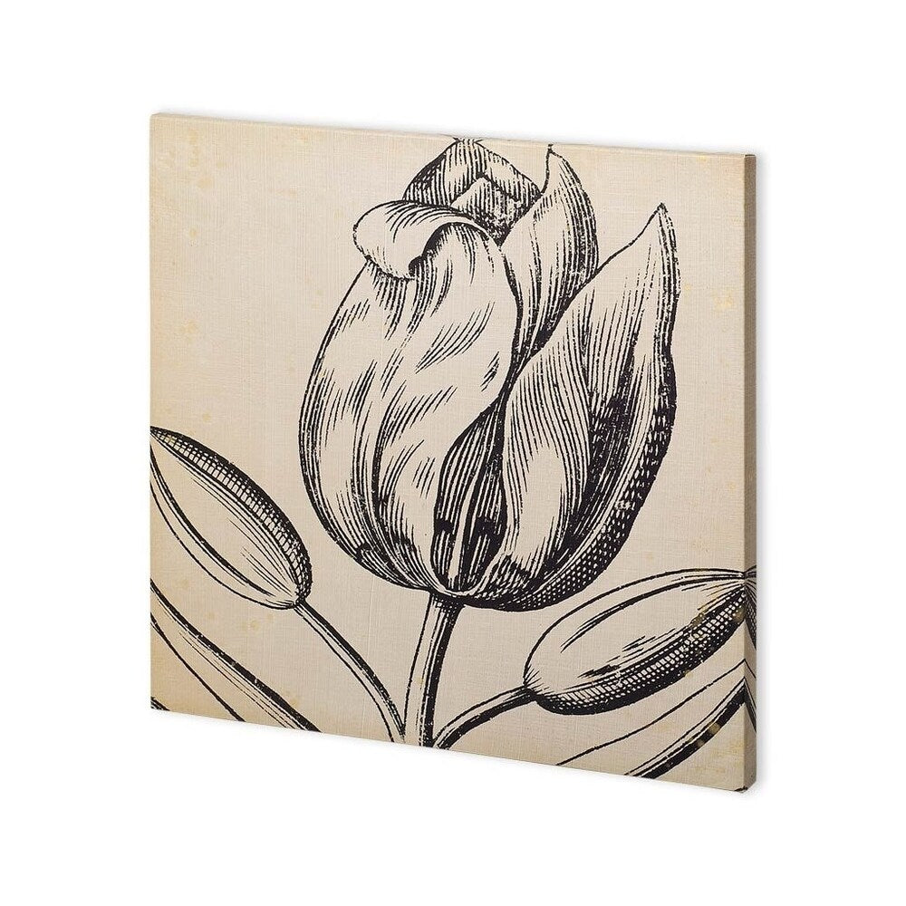 Mercana Graphic Floral VI (30 x 30) Made to Order Canvas Art