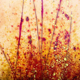 Mercana Paddling at Sunset (30 x 30) Made to Order Canvas Art