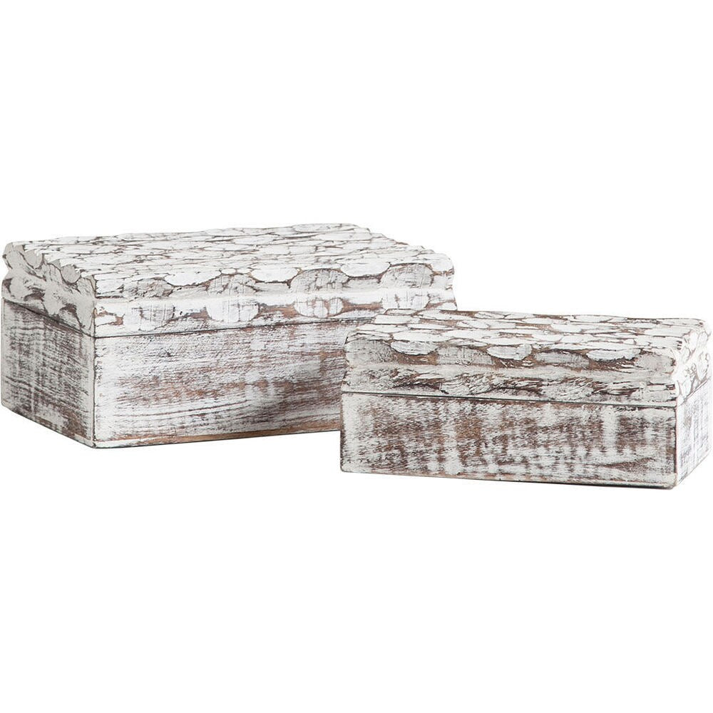 Mercana Theca IV Brown Wood Decorative Box (Set of 2) - 273