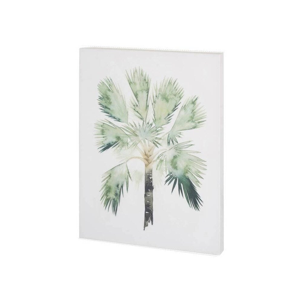 Mercana Watercolor Palm of the Tropics I (30 x 37) Made to Order Canvas Art