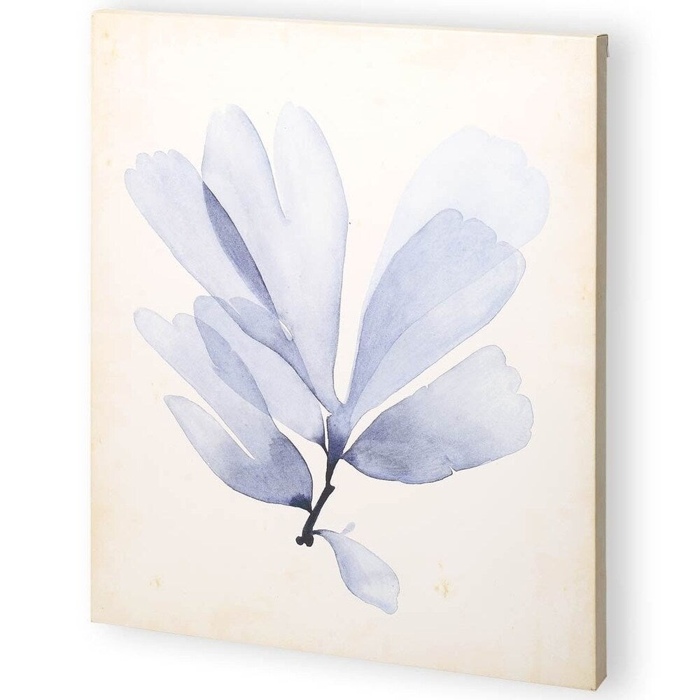 Mercana Watercolor Sea Grass II (44 x 55) Made to Order Canvas Art