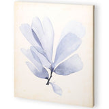 Mercana Watercolor Sea Grass II (44 x 55) Made to Order Canvas Art