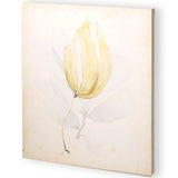 Mercana Watercolor Sea Grass III (44 x 55) Made to Order Canvas Art