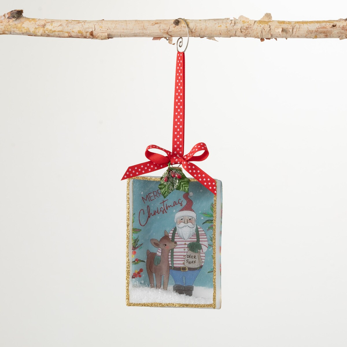 Merry Christmas Santa Ornament