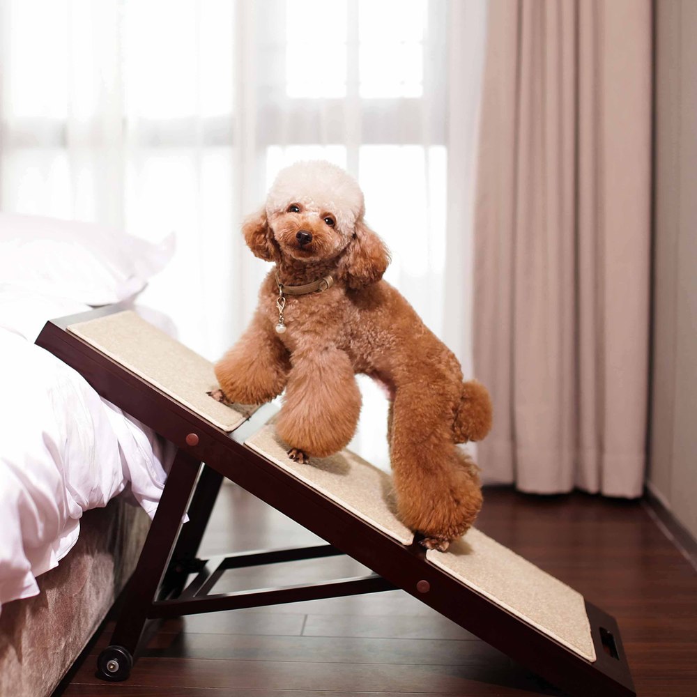 Merry Products Collapsible Pet Ramp