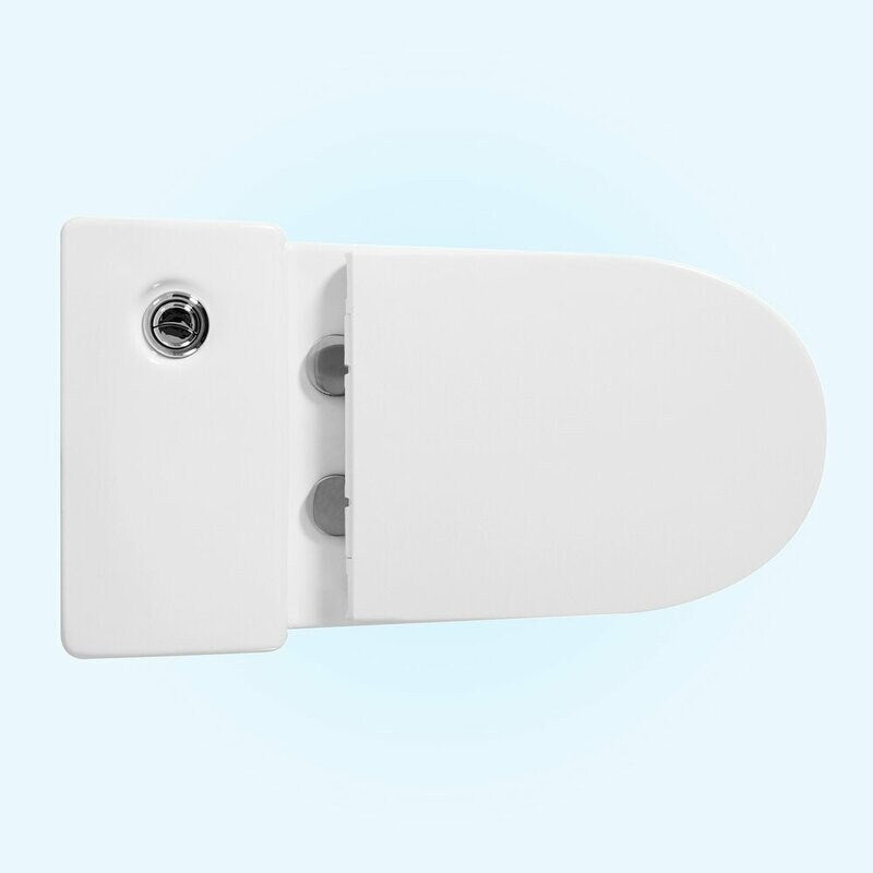 Metis Dual-Flush Elongated One-Piece Toilet (Seat Included)