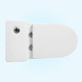 Metis Dual-Flush Elongated One-Piece Toilet (Seat Included)