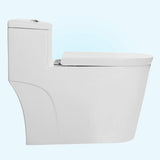 Metis Dual-Flush Elongated One-Piece Toilet (Seat Included)