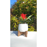 Mid-Century 3.5" Caveman Ceramic on Stand,Matte White