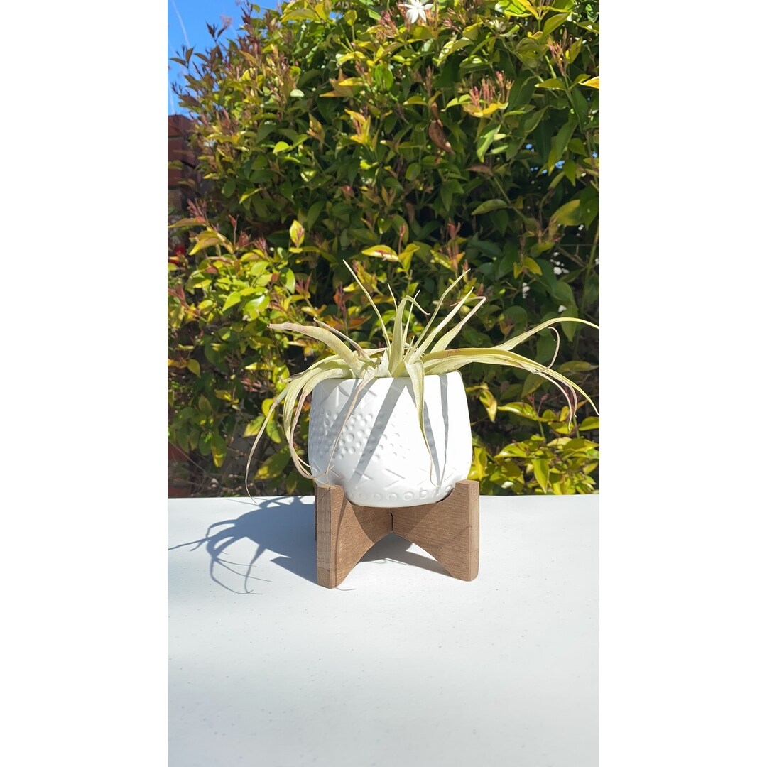 Mid-Century 3.5" Caveman Ceramic on Stand,Matte White