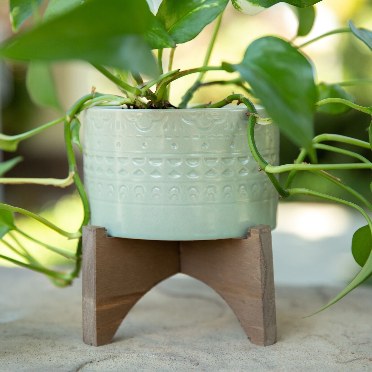 Mid-Century 5" Mayan Ceramic Planter on Wood Stand,Matte Sage
